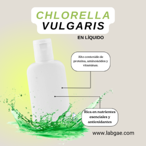 Extracto Líquido de Chlorella Vulgaris: Una Fuente Poderosa de Nutrición y Vitalidad