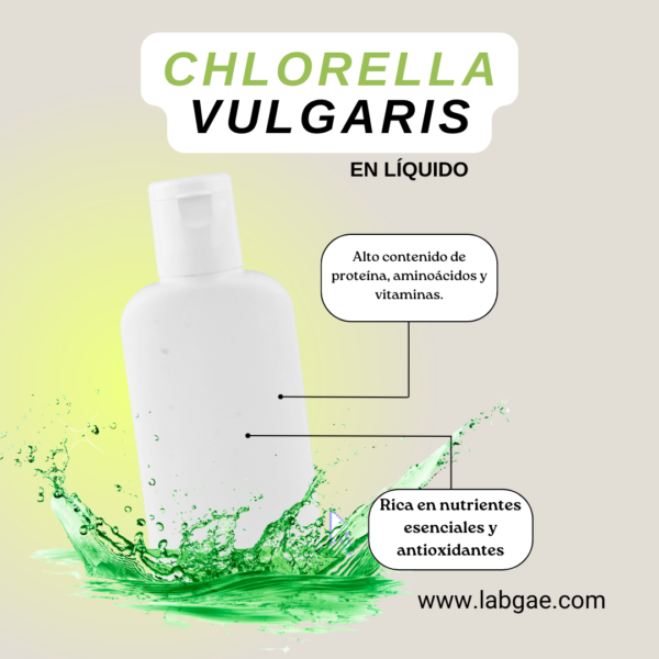 Extracto Líquido de Chlorella Vulgaris: Una Fuente Poderosa de Nutrición y Vitalidad